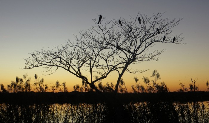 All the winners and the best works of the photo contest