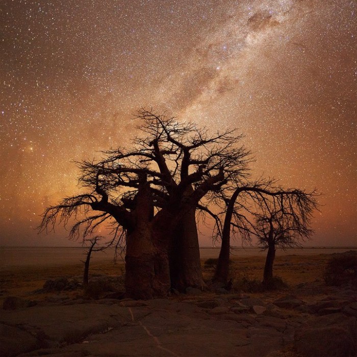 Cuba is a desert island of stones and baobabs