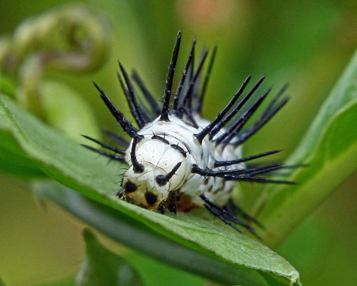 All the winners and the best works of the photo contest