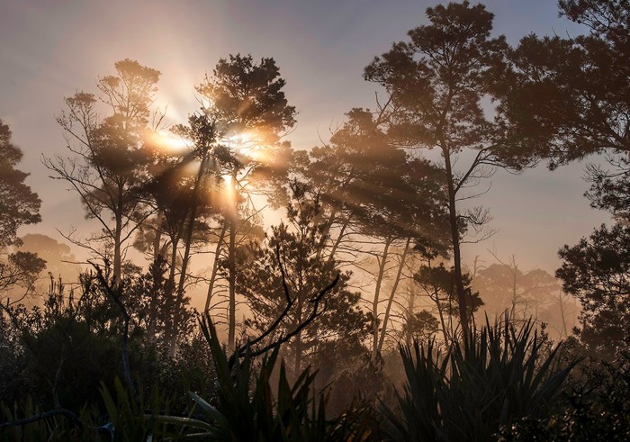 All the winners and the best works of the photo contest