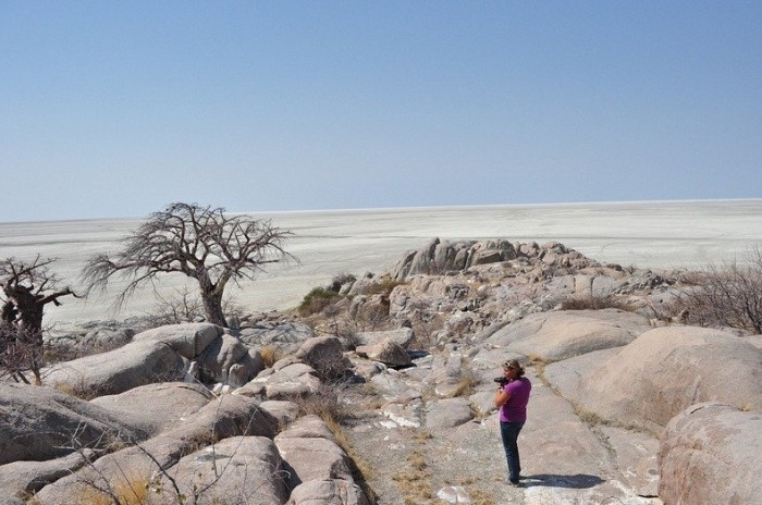 Cuba is a desert island of stones and baobabs