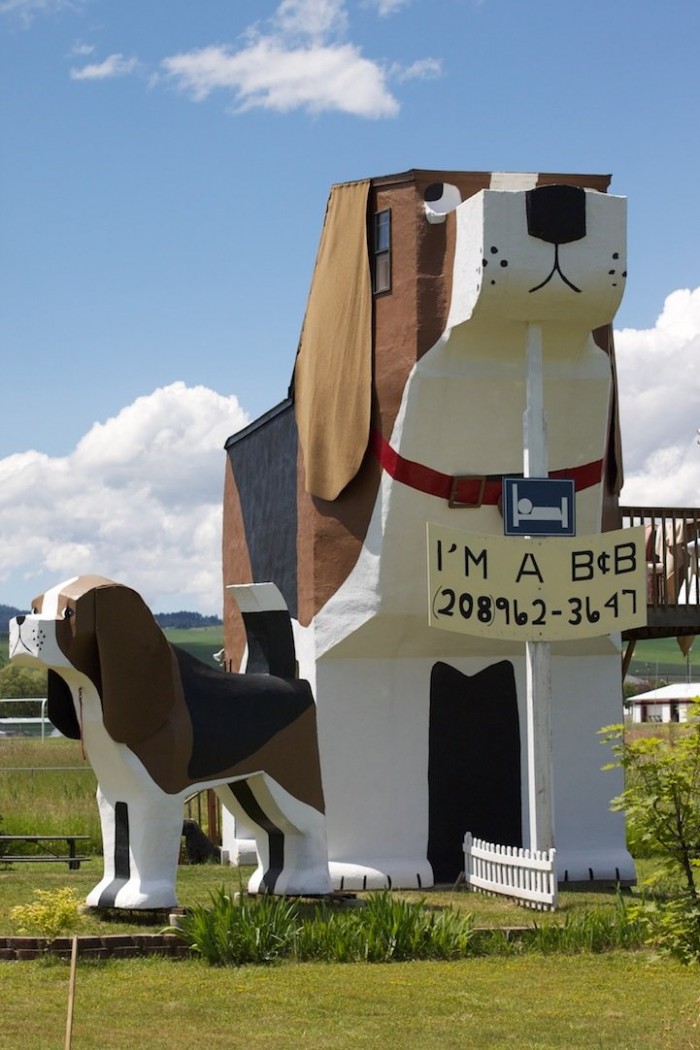 Hotel in the shape of a dog in the United States