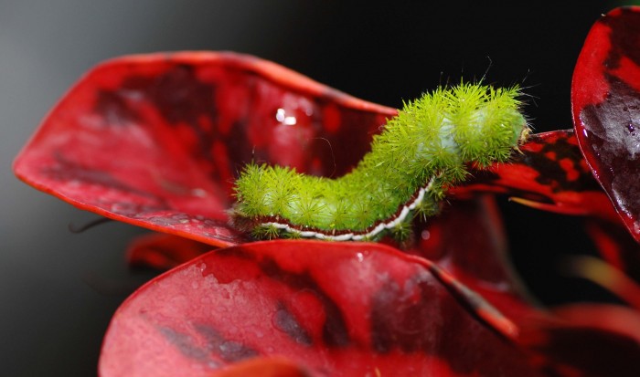 All the winners and the best works of the photo contest