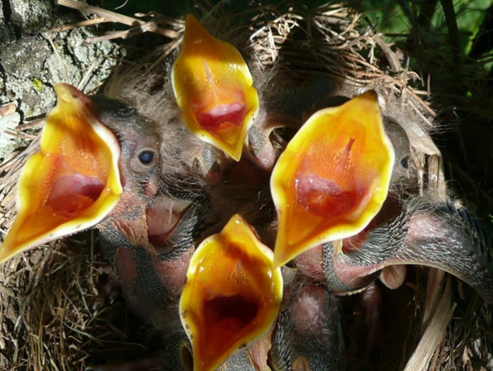 All the winners and the best works of the photo contest