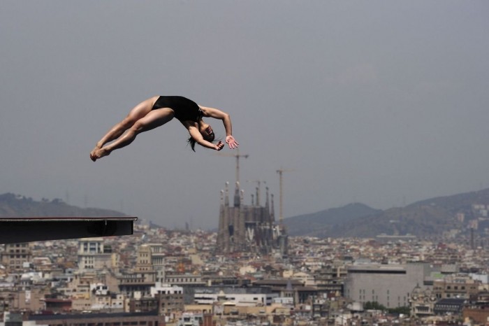 The brightest photos of the World Aquatics Championship 2013