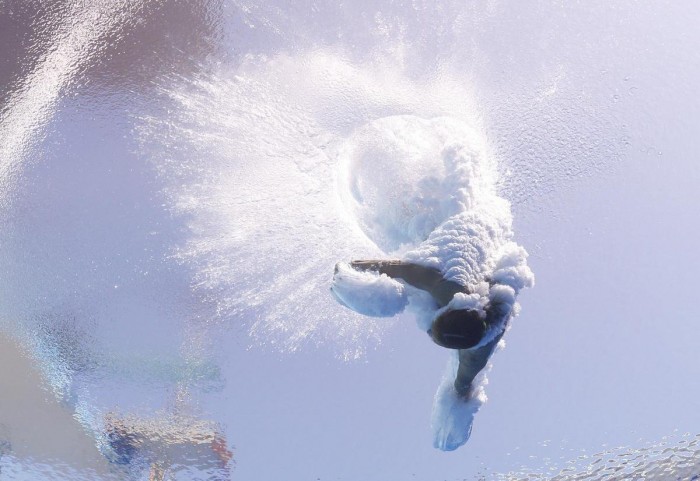 The brightest photos of the World Aquatics Championship 2013