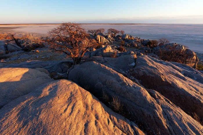 Cuba is a desert island of stones and baobabs