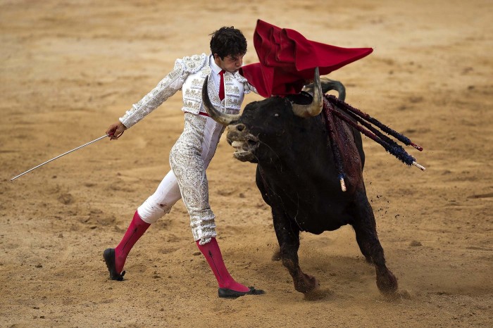 The Festival of San Fermin 2013 and the flight from the bulls