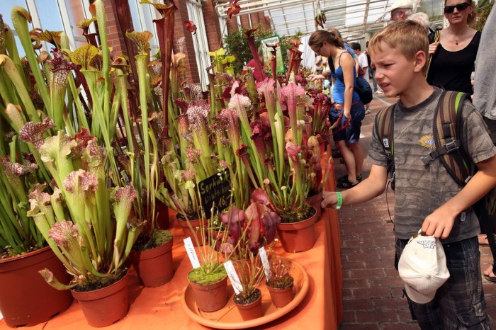 Exhibition of carnivorous plants in Berlin