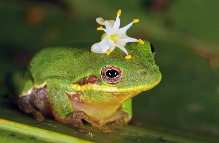 All the winners and the best works of the photo contest