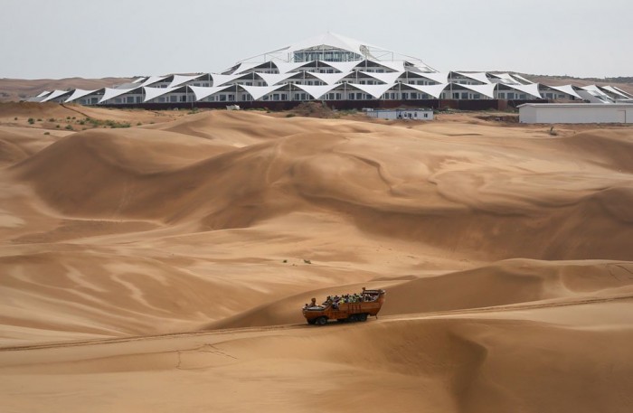 Desert Lotus Hotel & flower in the singing sands