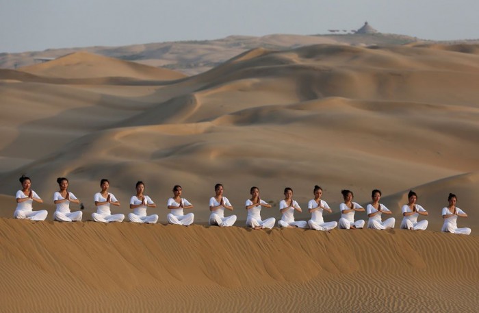 Desert Lotus Hotel & flower in the singing sands