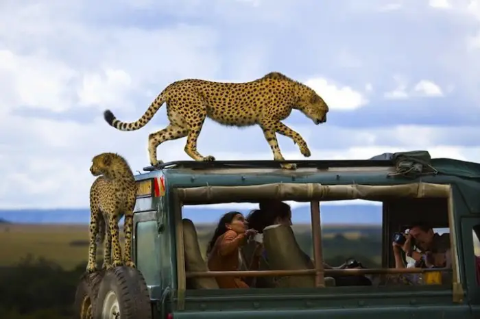 Все победители фотоконкурса «National Geographic Traveler 2013»