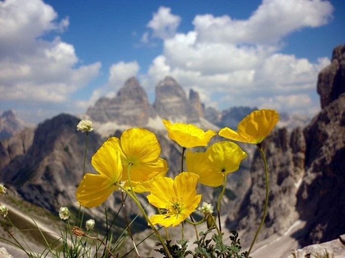 Three peaks of Lavaredo