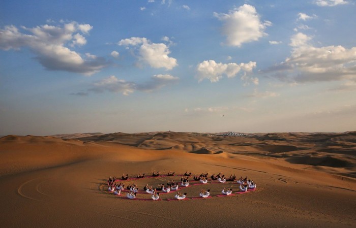 Desert Lotus Hotel & flower in the singing sands