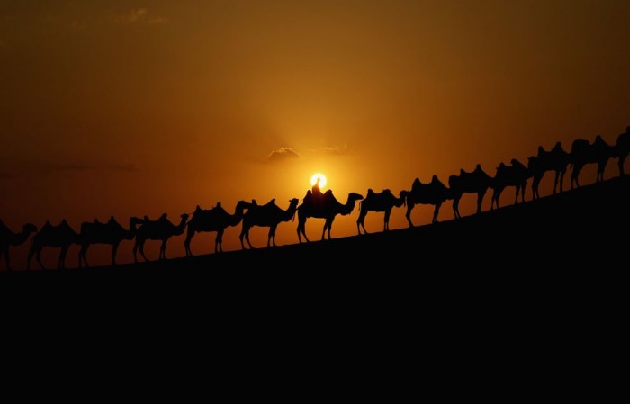 Desert Lotus Hotel & ndash; квітка в співаючих пісках