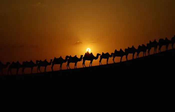 Desert Lotus Hotel – цветок в поющих песках