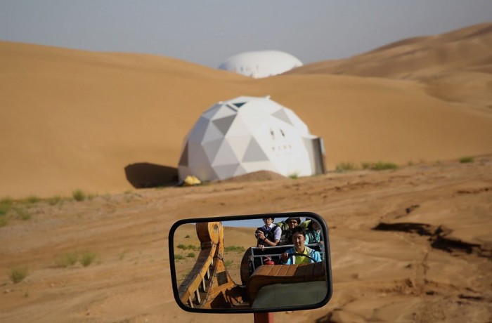 Desert Lotus Hotel & flower in the singing sands