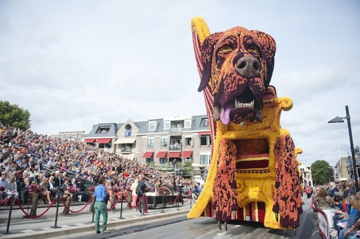 Гигантские цветочные скульптуры парада «Corso Zundert 2013»