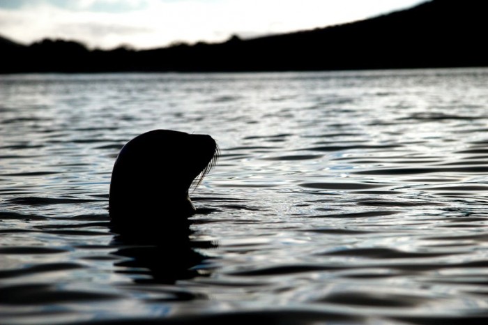 Journey to the Galapagos Islands