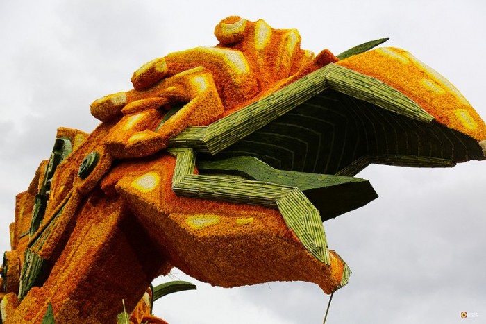 Giant floral parade sculptures