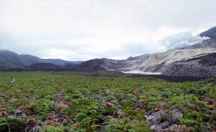 Journey to the Galapagos Islands