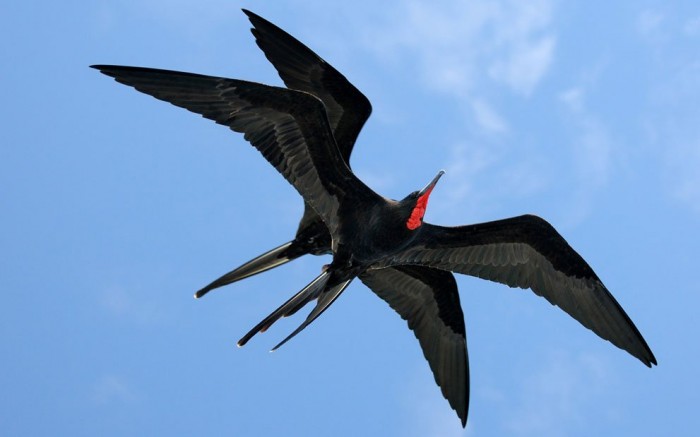 Journey to the Galapagos Islands