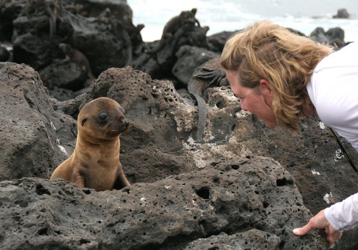 Journey to the Galapagos Islands