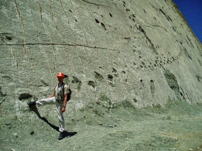 The largest accumulation of dinosaur tracks in one place