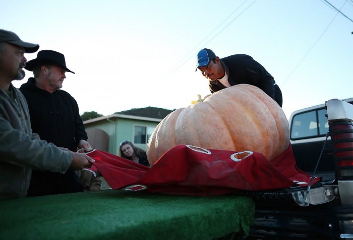 Jubilee World Pumpkin Weighing Championship