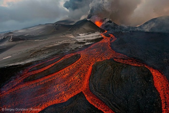 Все победители фотоконкурса «Wildlife Photographer of the Year 2013»