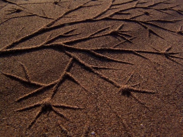 The drawings on the sand in the project