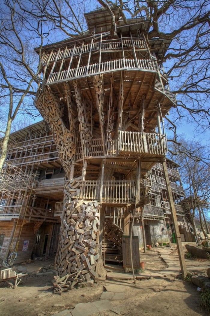 The world's largest house on the tree