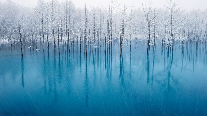 «Your Shot» - новый фотопроект от National Geographic