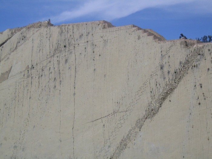 The largest cluster of dinosaur tracks in one place