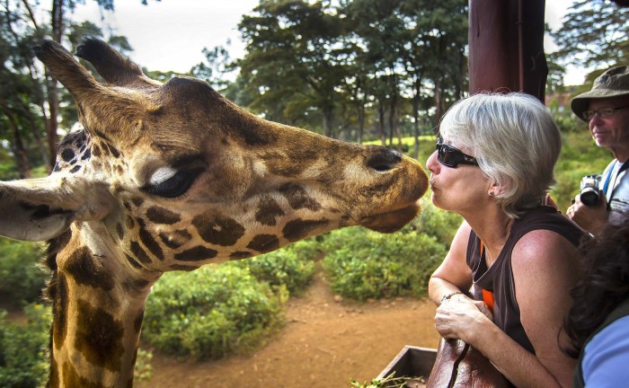 Animals in the news: cosmetology for elephants, who is the king of the forest and the friendship of dragonflies