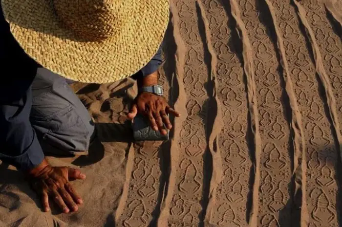 Рисунки на песке в проекте «Sand Prints»