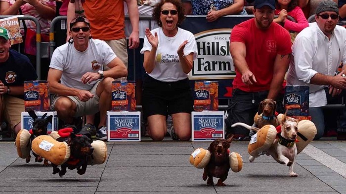 Dog race of hot dogs in Cincinnati