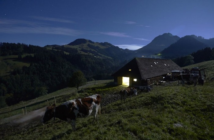 One season with Swiss cheesemakers