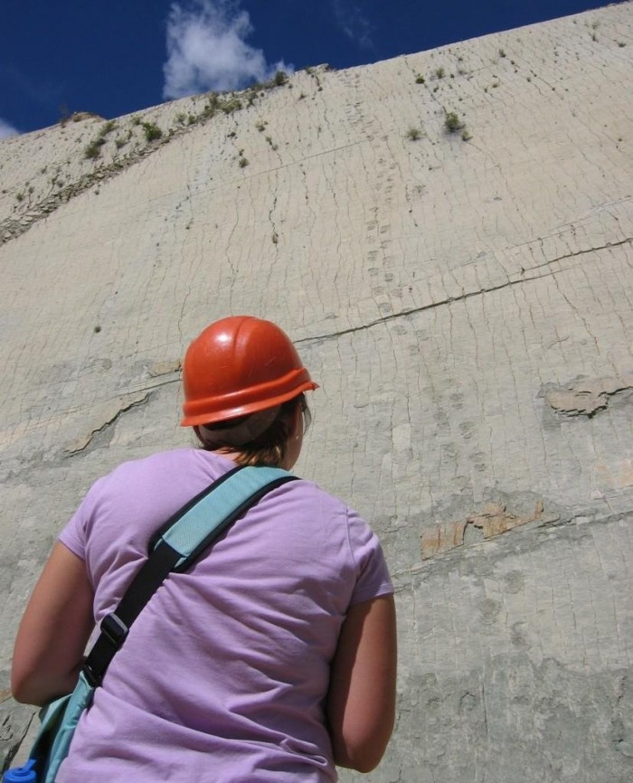 The largest concentration of dinosaur tracks in one place