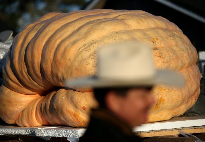 Jubilee World Weighing Championship of Pumpkins