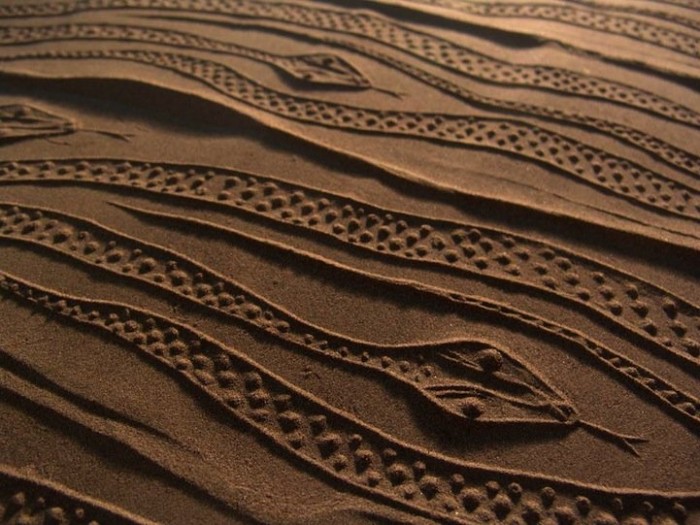 Рисунки на песке в проекте «Sand Prints»