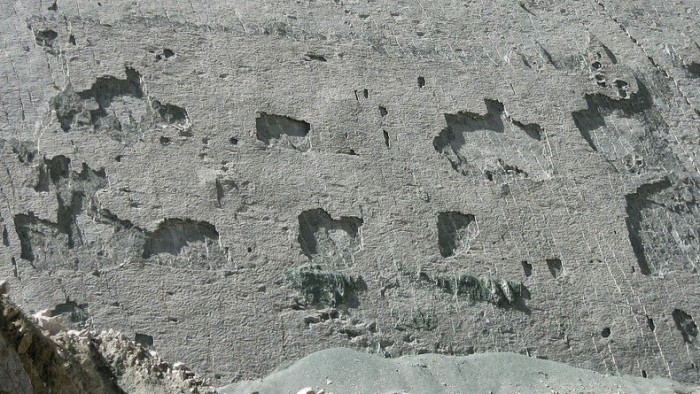 The largest concentration of dinosaur tracks in one place