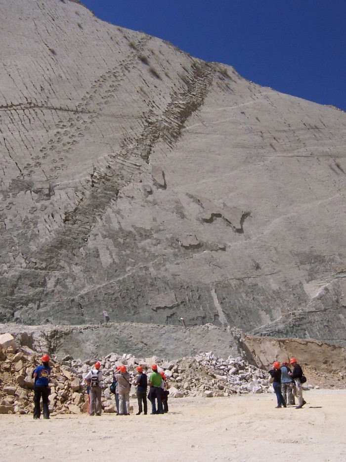 The largest concentration of dinosaur tracks in one place