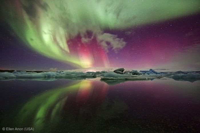 Все победители фотоконкурса «Wildlife Photographer of the Year 2013»