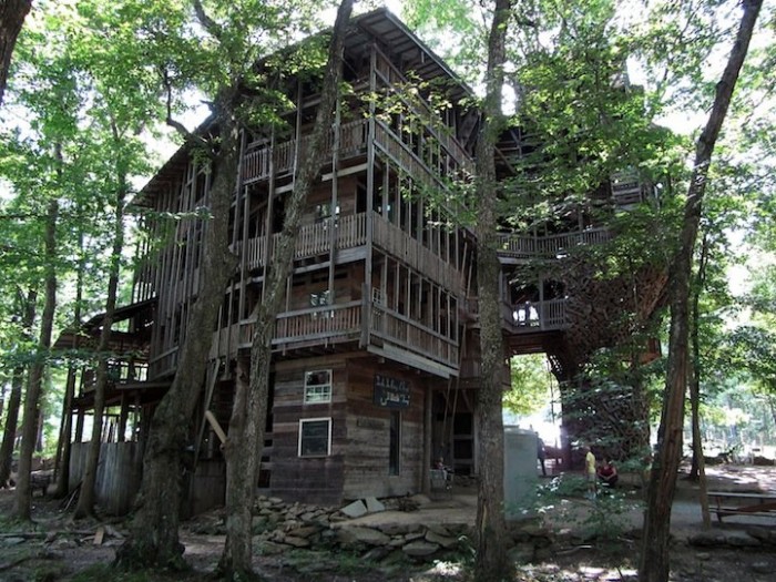 The world's largest house on the tree