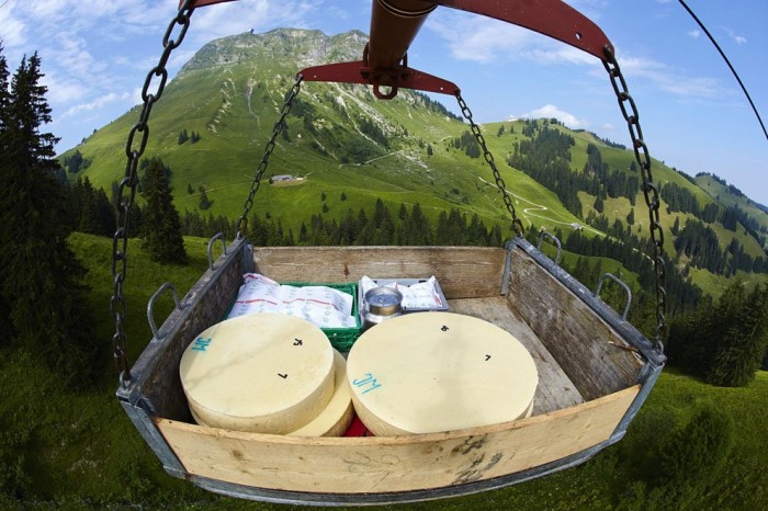 One season with Swiss cheesemakers