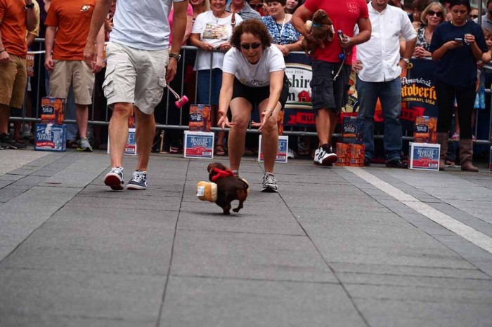 Dog races of hot dogs in Cincinnati