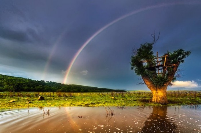 Удачные фото двойной радуги со всего мира