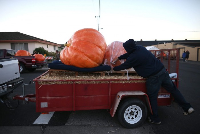 Jubilee World Pumpkin Weighing Championship